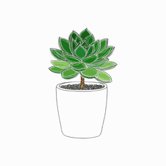 Illustrated Echeveria Succulent in a Pot -