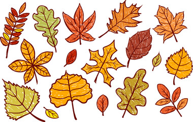 Autumn Leaves Vector Set. Hand Drawn Crayon Scribble Style Kids Drawing of Fall Foliage with Colorful Leaf Illustrations for Seasonal and Nature Design Projects.