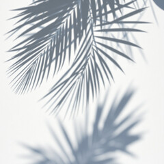 Obraz premium shadow palm leaf in the wind blowing overlay on white wall background wall textures