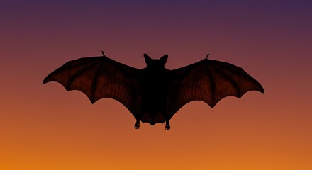 Fototapeta premium Bat silhouette against sunset sky