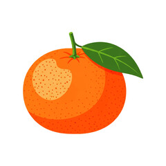 Colorful Fruit Icon Collection in Flat 2D Style Vector