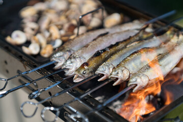 I baked and ate river fish on the barbecue. Fresh and delicious! The shooting location is Lake Biwa in Japan.
