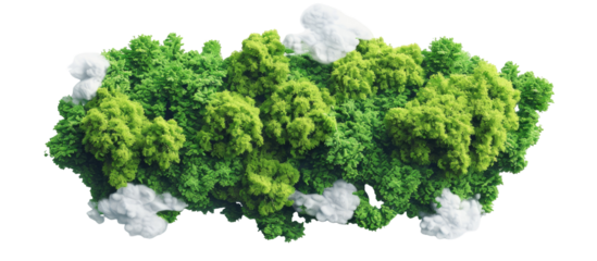 Lush green forest cloud with white clouds