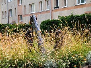 Dry grasses and low-growing plants with residential buildings in the background, showing an urban...