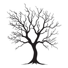 Obraz premium dry tree vector illustrations isolated on white