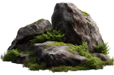 Boulders and grass isolated on a white background, detailed photograph, professional photography, full-length shot,