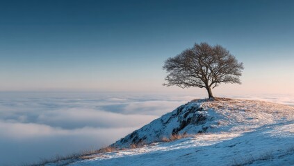 Solitary tree atop snowy hill, clouds below