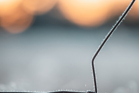 Close up detail of frost on wire farm fence at sunrise