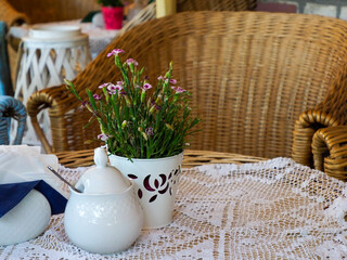 A delicate white vase with a small green plant and decorative elements rests on a white lace...