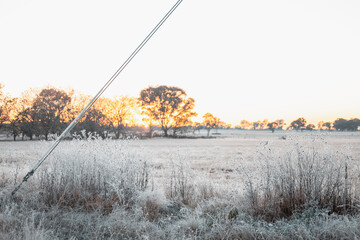 Roadside covered in frost along farm fence on cold winter morning
