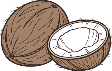Fresh Tropical Coconut Single Design. Whole and Half Coconut Single Design. Exotic Brown Coconut Single Design. Organic Ripe Coconut Single Design. Summer Coconut Fruit Single Design. Tropical Beach