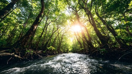 Fototapeta premium Lush forest stream with sunlight filtering through the canopy.