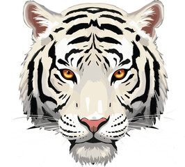 White tiger head illustration, majestic big cat face, wildlife predator portrait, endangered animal vector art, detailed jungle carnivore design for conservation