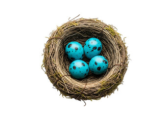 Obraz premium Bird s nest with four blue speckled eggs isolated on transparent background