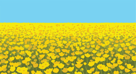 Obraz premium Yellow flowers fill the frame under a blue sky,creating a tranquil, beautiful scene