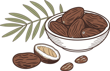 Fresh Date Fruit Illustration in Realistic Style. Organic Date Fruit Clipart with Natural Colors. Realistic Date Fruit Design for Food Projects. Tropical Date Fruit Drawing for Healthy Food Concepts