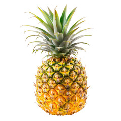 Single pineapple, vibrant yellow-gold skin, green crown (2)