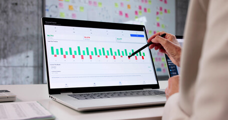 Woman Using Expense Tracker App On Computer For Budget Management