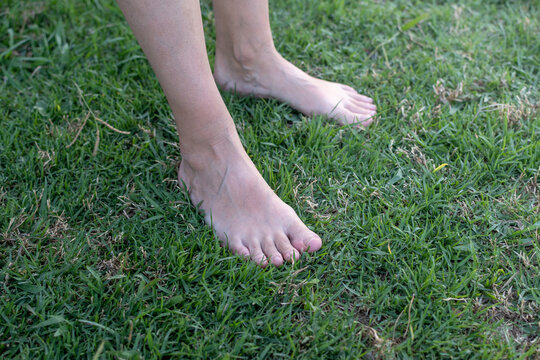 Top view photo shows a  woman's bare feet on grass. Wellness and freedom concept.