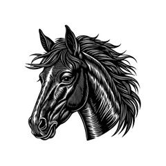 Vector illustration of a running black stallion silhouette with a flowing mane, perfect for equestrian and farm animal designs