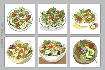 6 item tamplate Salad Food Vactor