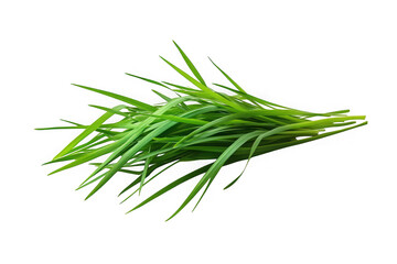 Fototapeta premium Fresh green chives bunch png, culinary herb, cooking ingredient, food photography, aromatic herb, flavorful, healthy eating, isolated on transparent background