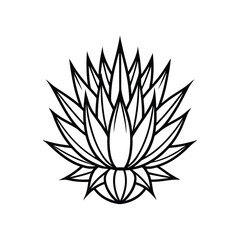 Succulent flower. Floral plants botanical cactus. cactus line art vector