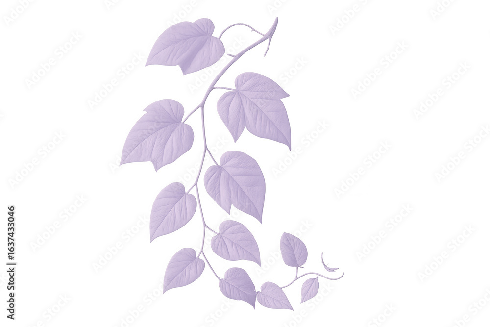 Poster branch with purple leaves isolated on transparent background, creating a delicate and elegant natura