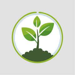 Growing Plant in Green Circle Sustainable Nature and Eco-Friendly Concepts