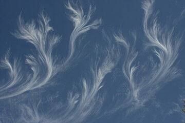 Obraz premium Wispy, feather-like clouds against a clear blue sky