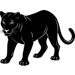 Obraz premium Black panther walking silhouette with white outline