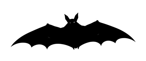 Fototapeta premium silhouette of a bat with glowing orange eyes against a white background