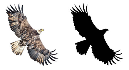Obraz premium PNG a bald eagle flying through a black sky with a transparent background