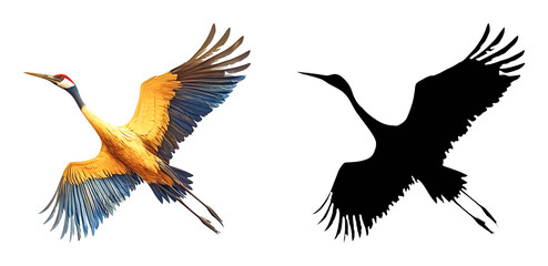 Fototapeta premium PNG a colorful bird in flight on a black background with a transparent background