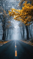 Obraz premium Misty road through autumnal forest