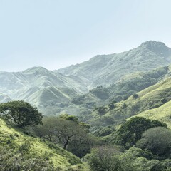 Naklejka premium Lush green hills and valleys, soft light