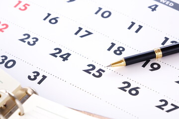 カレンダーを眺めて、毎月25日の給料日を待ち望んでいるイメージ