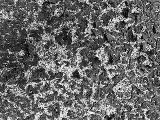 Abstract grunge weathered old wall texture background with peeling paint. Old distressed wall surface with dried moss stains.