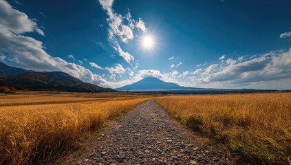 Fototapeta premium Sunny vista of a path leading to a mountain