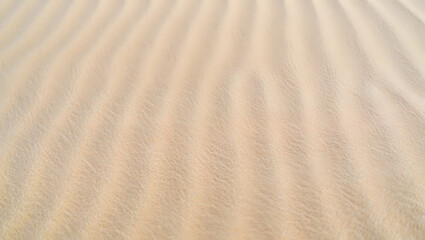 Fototapeta premium Soft Beige Sand Dunes: Abstract Textured Background, Natural Light, Calm Serenity
