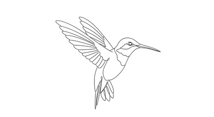 Fototapeta premium A simple black line art illustration of a hummingbird hovering with its wings spread wide.
