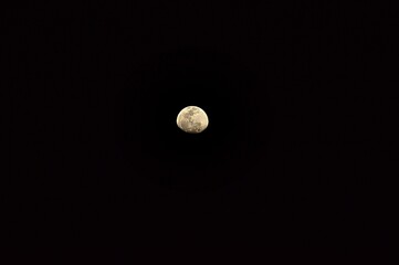 A detailed close-up of a Gibbous Moon, isolated against a solid black night sky. The craters, seas,...