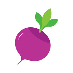 vector illustration of a Turnip 
