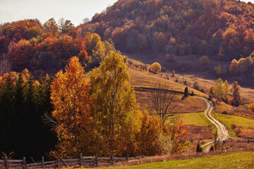 Autumn colored trees and countryside landscape scenery.