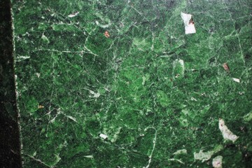 Close-up of mottled, dark green surface with cracks and debris
