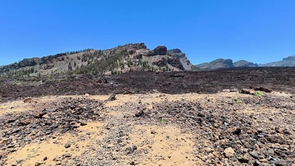 A breathtaking view reveals a vast volcanic lava field and majestic mountains under a bright blue...