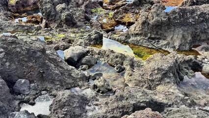 A breathtaking and stunning view of a rocky seashore showcases tide pools, vibrant seaweed, and crashing ocean waves
