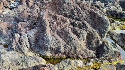 A breathtakingly stunning view of a rugged rocky shoreline featuring tide pools and captivating geological formations