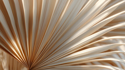 Obraz premium Close-Up of Beige Palm Leaf with Abstract Pattern 