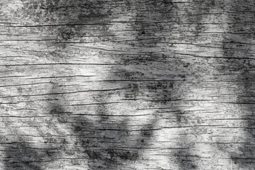 Wood texture background with shadow leaf,Old Grey wood panel with rough grain texture for backgrounds.White washed wooden boards,Table top view of Rustic grayscale plank wallpaper.Vintage monochrome 
